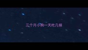 三个月小狗一天吃几顿