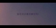 金毛幼犬喜欢睡觉吗