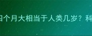 阿拉斯加幼犬四个月大相当于人类几岁科学养宠全指南