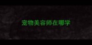 宠物美容师在哪学