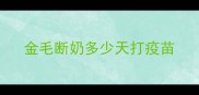 金毛断奶多少天打疫苗