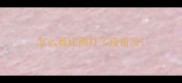 怎么看比熊打了疫苗没