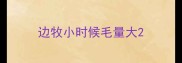 边牧小时候毛量大