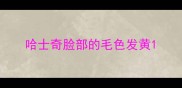 哈士奇脸部的毛色发黄