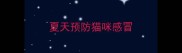 夏天预防猫咪感冒