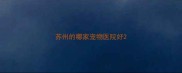 苏州的哪家宠物医院好