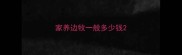 家养边牧一般多少钱