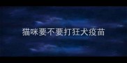 猫咪要不要打狂犬疫苗
