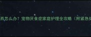 小狗不吃东西怎么办宠物厌食症家庭护理全攻略附紧急处理指南
