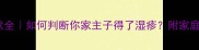猫咪湿疹症状全如何判断你家主子得了湿疹附家庭护理指南