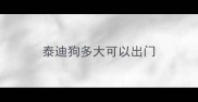 泰迪狗多大可以出门