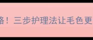 哈士奇毛发变红全攻略三步护理法让毛色更健康附变红教程