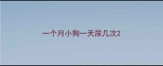 一个月小狗一天尿几次