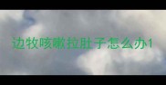 边牧咳嗽拉肚子怎么办