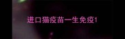 进口猫疫苗一生免疫