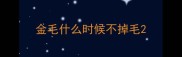 金毛什么时候不掉毛
