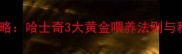 幼犬喂养全攻略哈士奇3大黄金喂养法则与科学养护指南