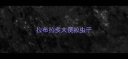 拉布拉多大便拉虫子