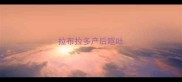 拉布拉多产后呕吐