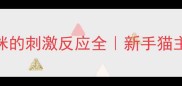 狂犬疫苗对猫咪的刺激反应全新手猫主必看接种指南