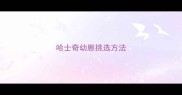 哈士奇幼崽挑选方法
