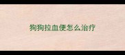 狗狗拉血便怎么治疗