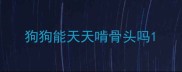 狗狗能天天啃骨头吗