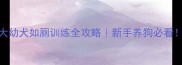 1个月大幼犬如厕训练全攻略新手养狗必看
