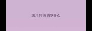满月的狗狗吃什么