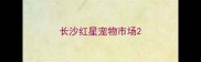 长沙红星宠物市场