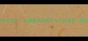 公金毛犬vs母金毛犬从健康养护到行为习性全面附饲养指南