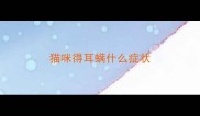 猫咪得耳螨什么症状