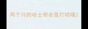 两个月的哈士奇老是打喷嚏