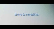 西安市京和宠物医院