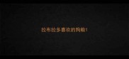 拉布拉多喜欢的狗粮