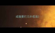 成猫要打几针疫苗