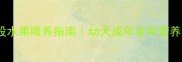 拉布拉多全阶段水果喂养指南幼犬成年老年营养方案附食谱表