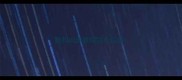 狗狗训练教程拉布拉多