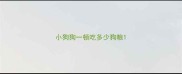 小狗狗一顿吃多少狗粮