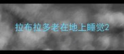 拉布拉多老在地上睡觉