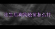 出生后狗狗疫苗怎么打