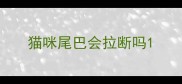 猫咪尾巴会拉断吗