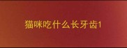 猫咪吃什么长牙齿