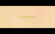 北京宠物蛇专卖店