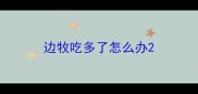 边牧吃多了怎么办