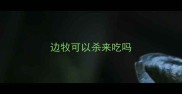 边牧可以杀来吃吗
