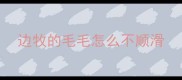 边牧的毛毛怎么不顺滑
