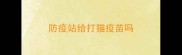 防疫站给打猫疫苗吗
