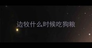 边牧什么时候吃狗粮