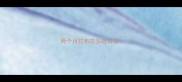 两个月拉布拉多吐白沫